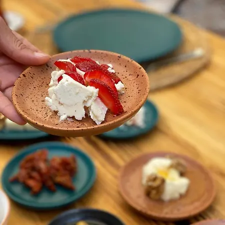 Morisi Avlu * ألاتشاتي