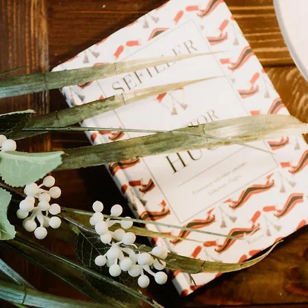 Morisi Avlu * 알라카티