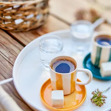 호텔 Morisi Avlu 알라카티