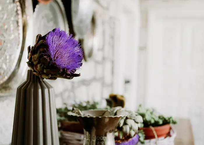 Morisi Avlu Отель