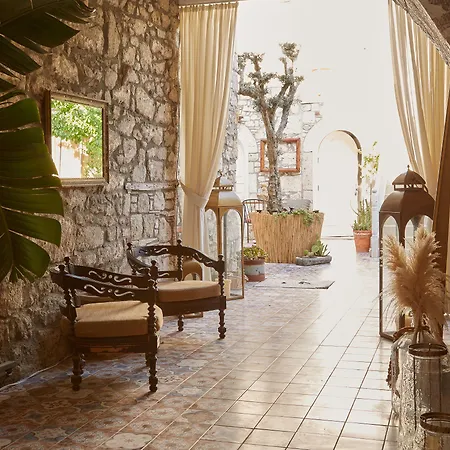 Morisi Avlu * אלאקאטי