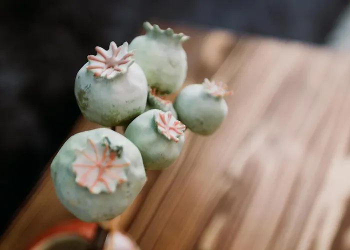 Morisi Avlu Alaçatı